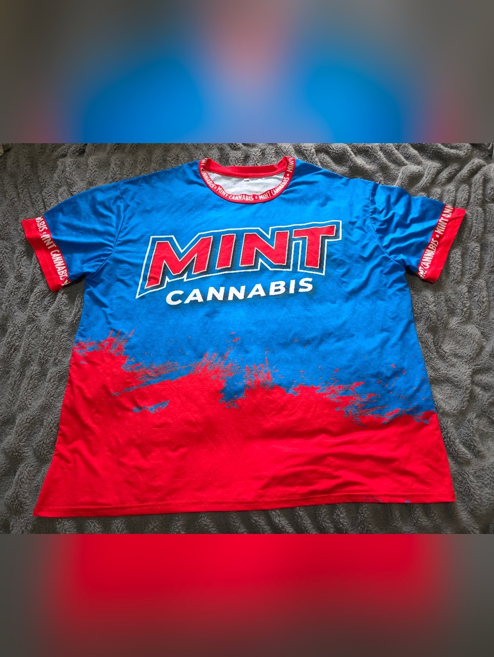 2XL Mint Mens Graphic Tee in Blue & Red